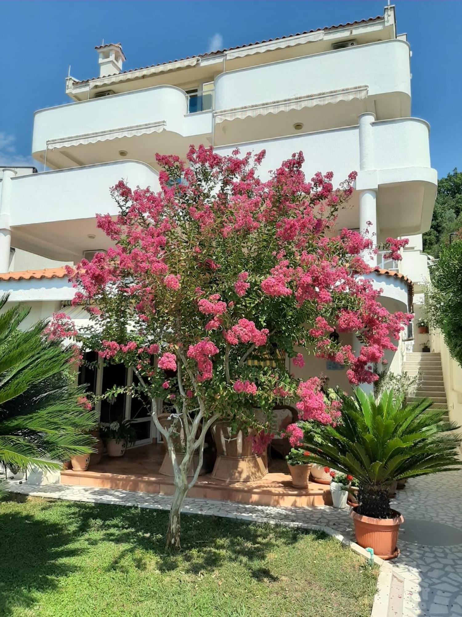 Apartments Villa Mare Mar ซูโตมอเร ภายนอก รูปภาพ